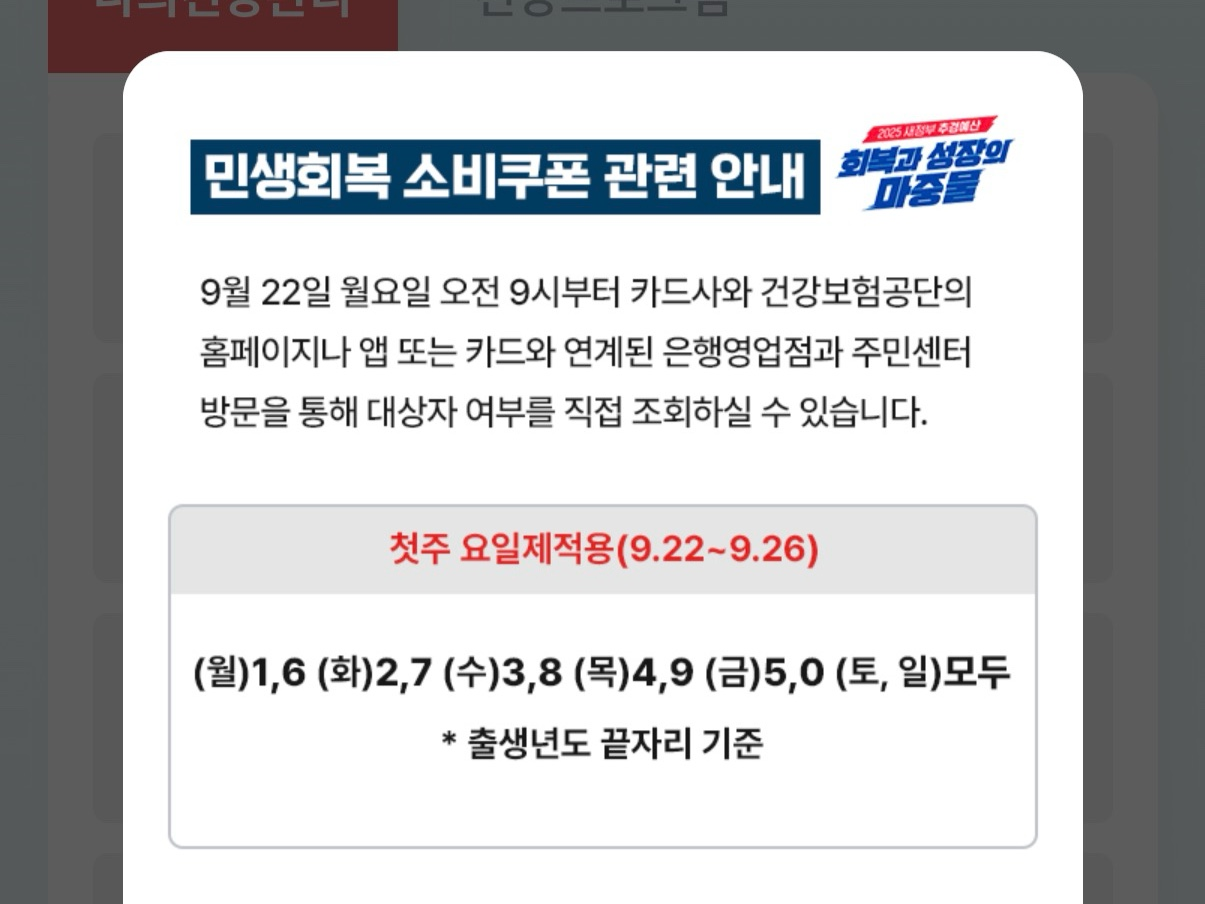 2차 소비쿠폰, 내가 대상자인지 속 시원하게 확인하는 방법 (2025년 최신)